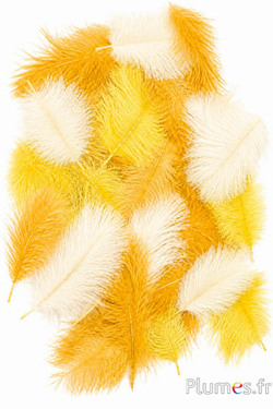 Struisvogel Bellies - 5-10 cm - gemengde geel
